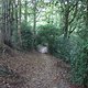 DSCF3697