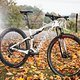 Die ideale Testbasis für die Continental Race-Reifen ist das Specialized Epic World Cup gewesen