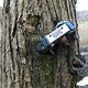 Shimano Schaltwerk im Baum