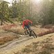 Mountainbike (2)