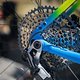 Sea Otter Classic Tag1-155