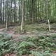 IMG 1695