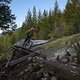BC Whistler - Out There