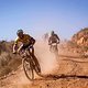 Teams Bulls und Merida auf der Abfahrt  - Nick Muzik-Cape Epic-SPORTZPICS