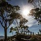 Die Abfahrt belohnt für den Aufstieg - Foto von Karin Schermbrucker-Cape Epic-SPORTZPICS