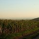 DSCF3678 1286822356