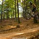 IMG 2235