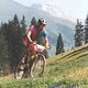 SwissBikeMaster1994gr