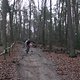 IMG 1260