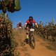 Nik Kershaw comes down through the vineyards of Banhoek Conservancy during stage 6 of the 2019 Absa Cape Epic Mountain Bike stage race from the University of Stellenbosch Sports Fields in Stellenbosch, South Africa on the 23rd March 2019

Photo by