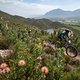 Riders on stage 4 of the 2021 Absa Cape Epic Mountain Bike stage race from Saronsberg in Tulbagh to CPUT in Wellington, South Africa on the 21th October 2021

Photo by Kelvin Trautman/Cape Epic

PLEASE ENSURE THE APPROPRIATE CREDIT IS GIVEN TO THE PH