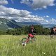 IMG 2350