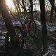 IMG 1029