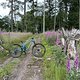 IMG 7160