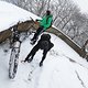 IMG 2620
