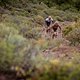 Simon Stiebjahn und Tim Boehme von Bulls 2 - Foto von Nick Muzik-Cape Epic-SPORTZPICS