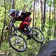 IMG 4816