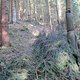 IMG 0989Large 1272301583