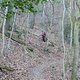 DSCF3129