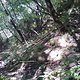 AnotherSecretTrail4