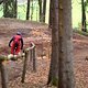Bikepark Beerfelden 6.04.15