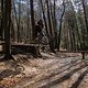 20160326-IMG 4164