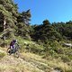 TransVerdon2016 (92)