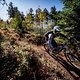 Manfred Stromberg - 2021 neue Trail Action