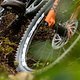 Devinci - Evan Wall Video Project 2022 - Liam Wallace LOW RES-07421