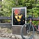 IMG 7884