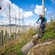 20240915-10 Harz