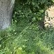 IMG 6563