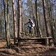 Bike Beerfelden P 261