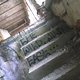 CAM00392