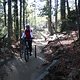 IMG 3331