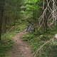 IMG 2866