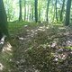 DSC01818
