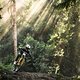 Der liebe Gott persönlich hat uns ein deutliches Zeichen gesendet, dass der Sieg diesmal Aaron Gwin gehört.