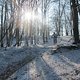 IMG 0579
