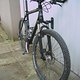 IMG 0173