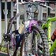 20160604-DSC 5373