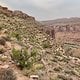Whole Enchilada, Moab, Utah - Porcupine Rim Trail 20200918 220039974 iOS