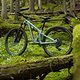 SLorencePhoto SB120 Loch RainForest Check LoRes 2500x1667 5