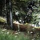 Die Sohle ist gut gedämpft, weshalb sich die Schuhe auch im Bikepark-Einsatz gut schlagen.