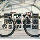 36er blacksheep im 29er Alboom