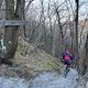IMG 6861