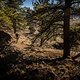 JamesStokoePhoto HUNT7460