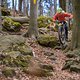 20250406-11 Sächsische Schweiz