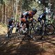 DSC 0012 1305576799