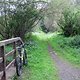 IMG 1185